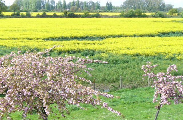 The Green Belt’s Shifting Sands – London’s Housing Dilemma