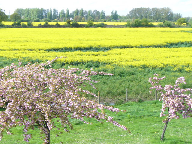 The Green Belt’s Shifting Sands – London’s Housing Dilemma