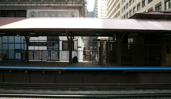 Viral Trend Sees Chicagoans in Costume Chasing the Train