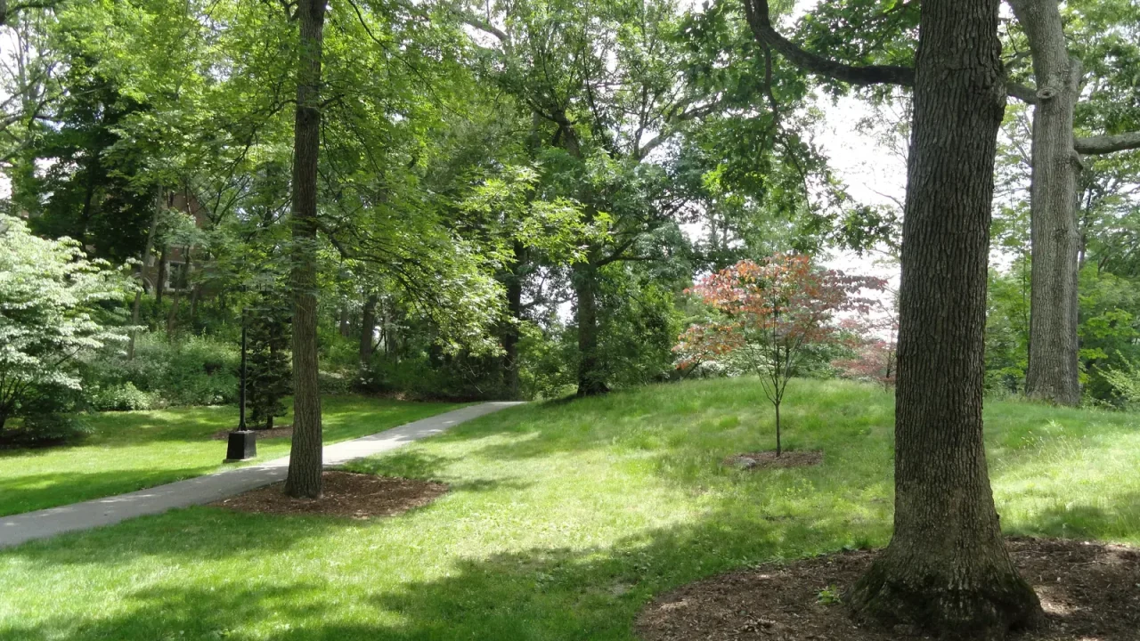 Wellesley Town Sues Massachusetts Over State Housing Plans on College Parking Lot