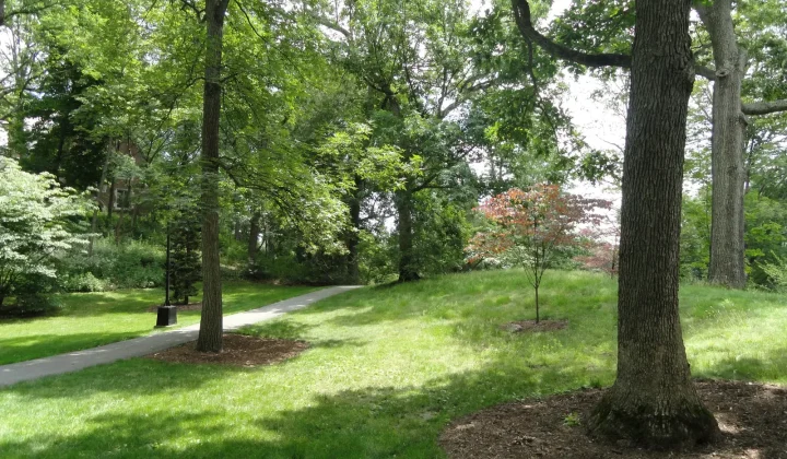 Wellesley Town Sues Massachusetts Over State Housing Plans on College Parking Lot