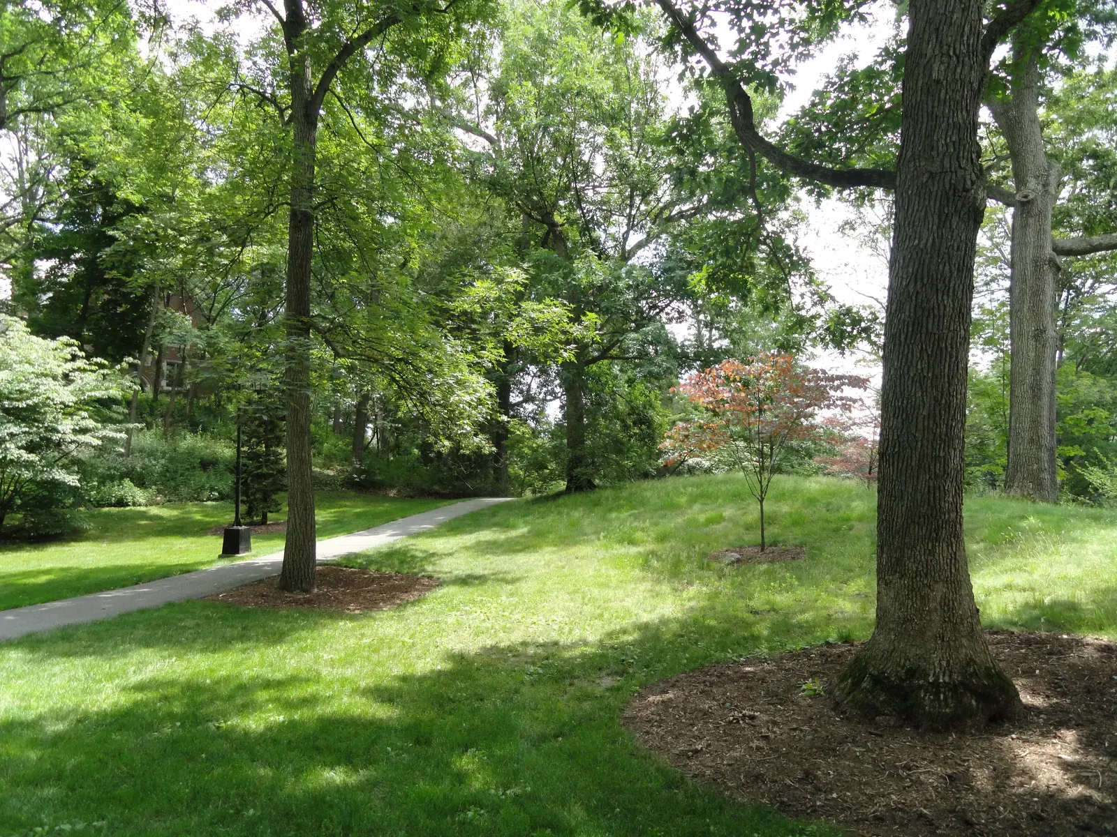 Wellesley College campus buildings and grounds