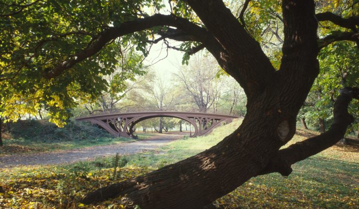 Costly Infrastructure Projects: Engineering Problems vs. “Phone Call Problems