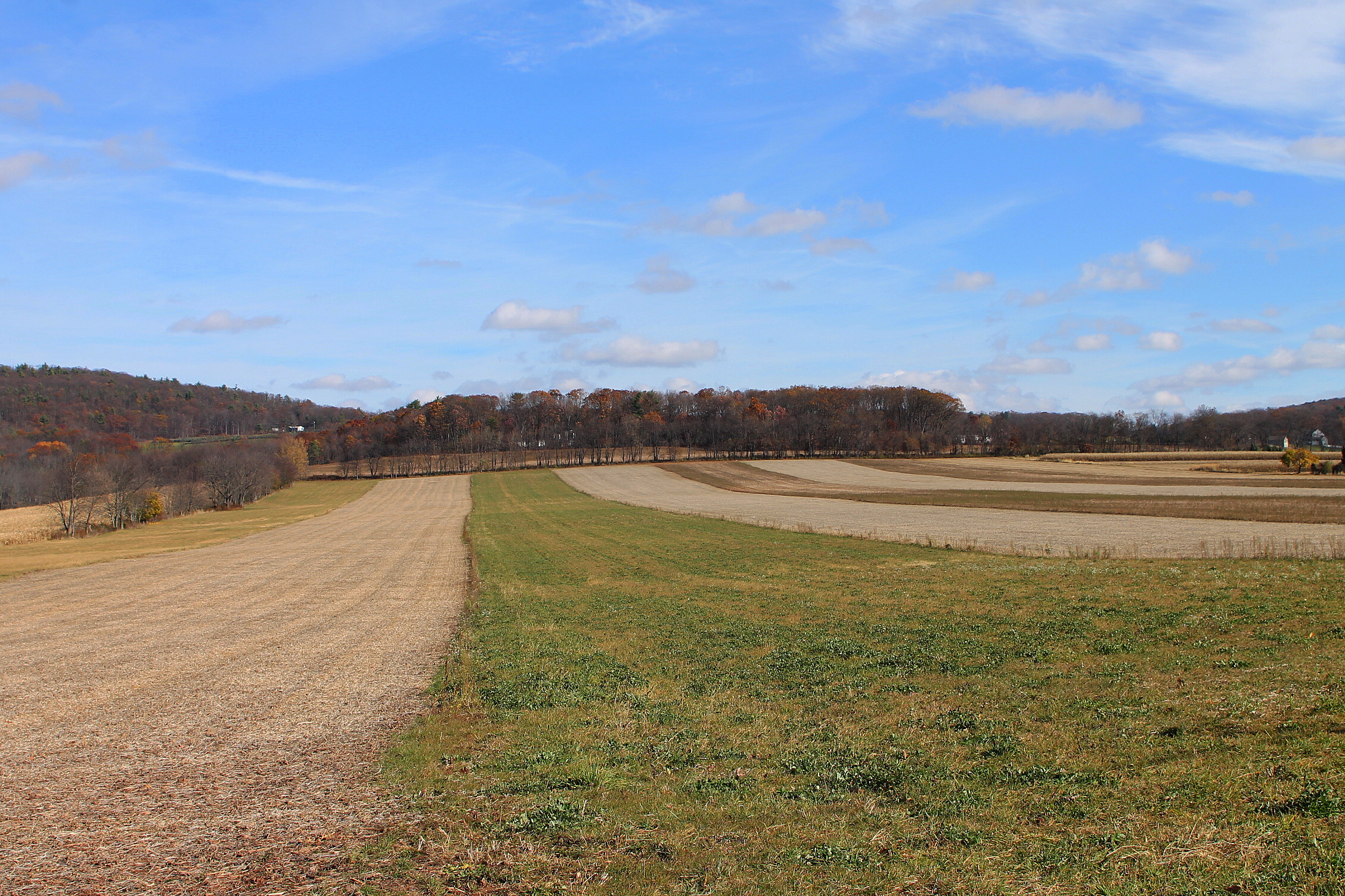 A protest sign against data centers in a natural landscape.