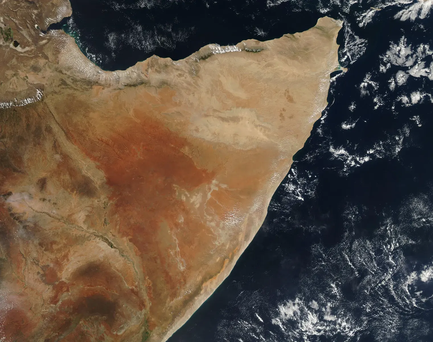 A parched landscape with cracked earth, indicative of severe drought.