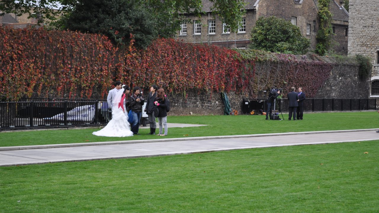 The Future of London’s Urban Green Spaces: Balancing Development and Nature