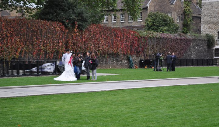 The Future of London’s Urban Green Spaces: Balancing Development and Nature