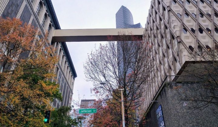 King County Overhauls Grant System Amid Fraud Concerns and Audit Findings