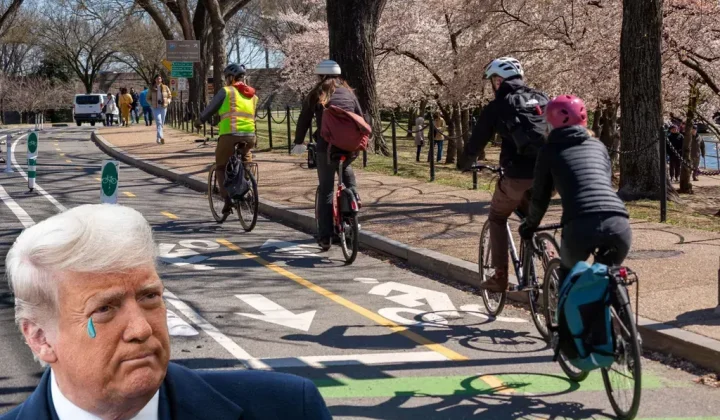 US pedestrian safety culture war offers contrast to London’s approach