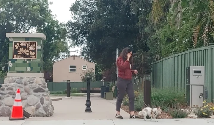 Grevelia Pocket Park Opens in South Pasadena