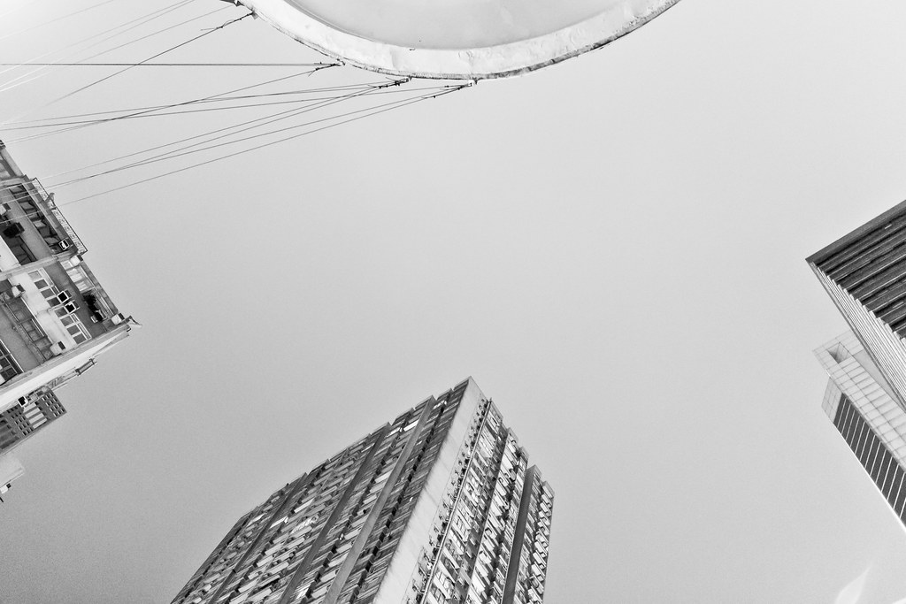 National Renter Survey Highlights Unaffordable Rents and Limited Options