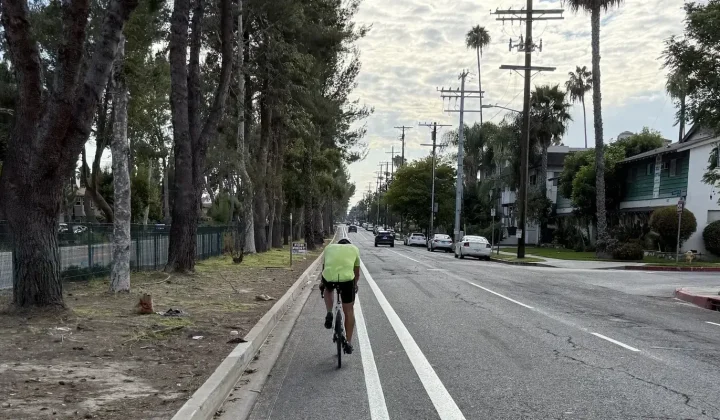 Los Angeles Advances Center-Running Bike Lanes on Chandler Boulevard