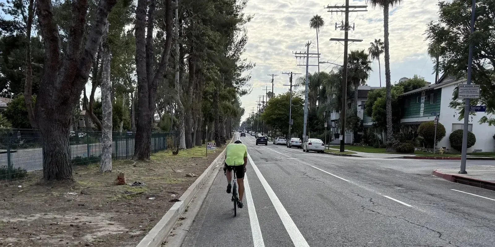 Cyclists using new protected bike lanes alongside a street median on Chandler Boulevard, Los Angeles.