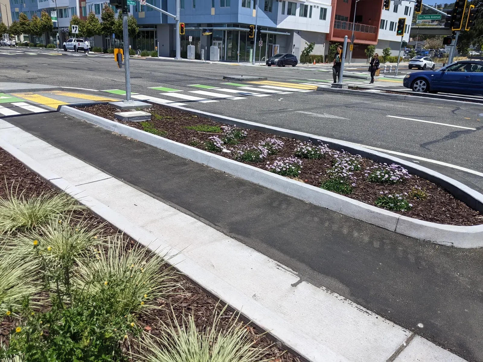 A new concrete curb-protected bike lane on San Pablo Avenue in El Cerrito, with a bioswale visible alongside the roadway.