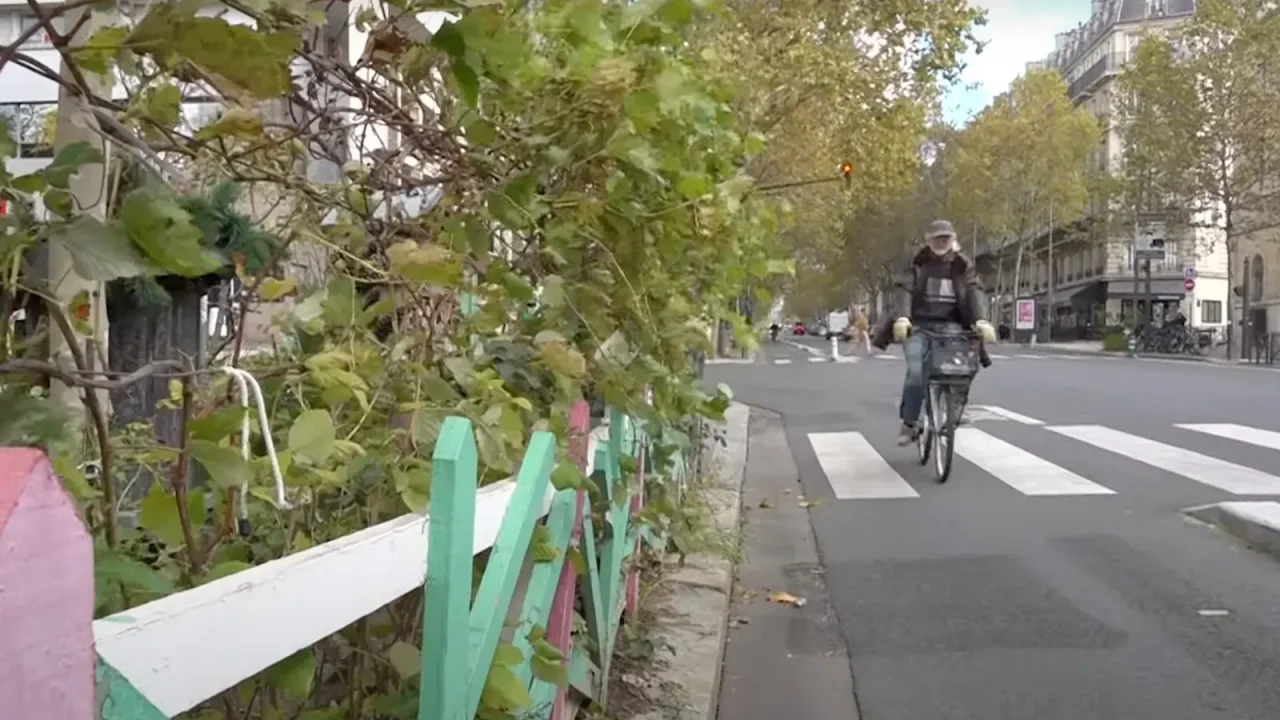 Walkable Neighbourhoods Could Alleviate Healthcare Strain, MIT Research Suggests