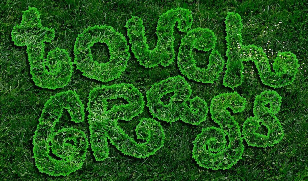 Streetsblog NYC Highlights Summer Events and Urbanism Insights