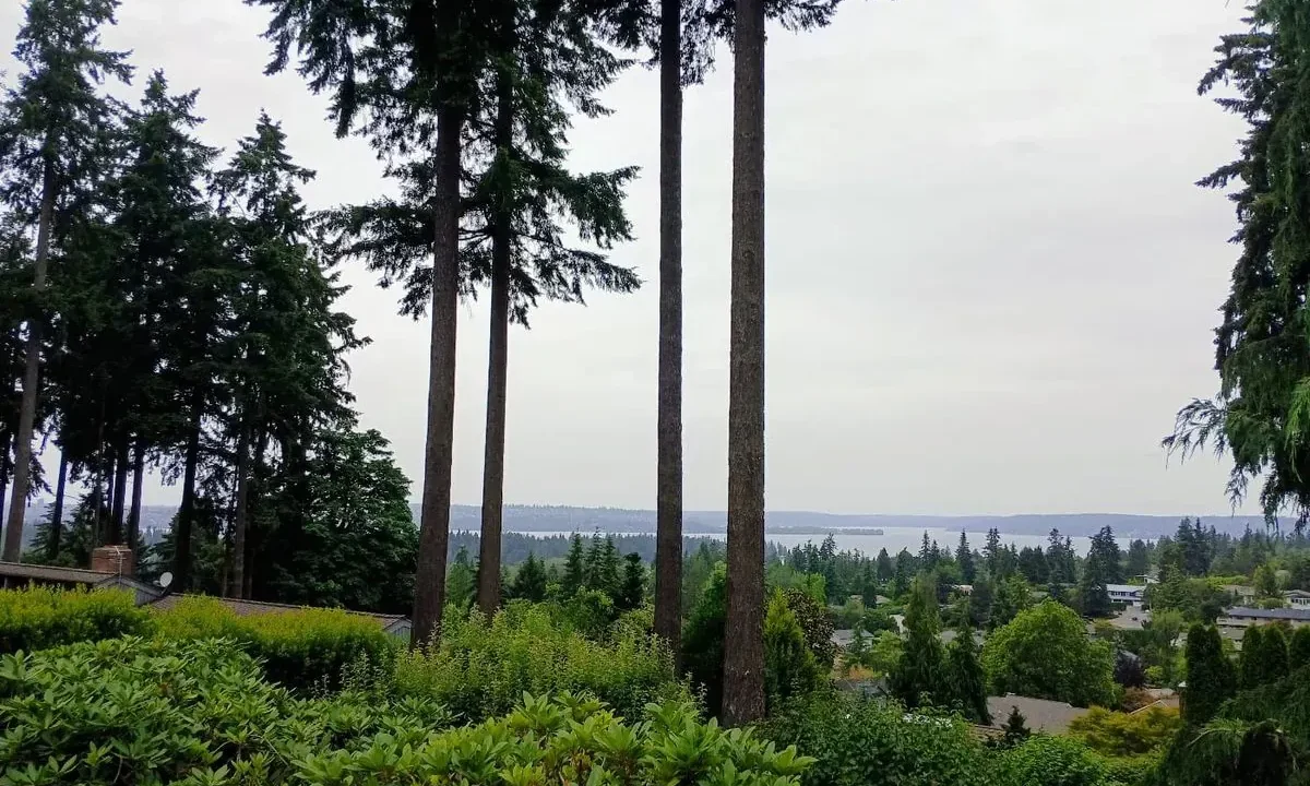 Clyde Hill’s Affordable Housing Settlement Offers a Case Study in State-Led Planning Pressure