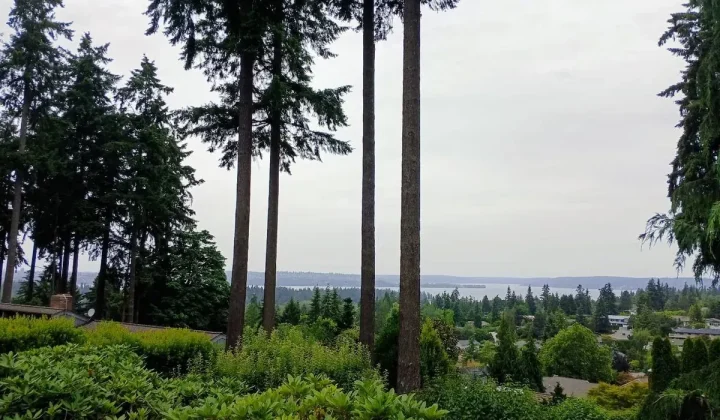 Clyde Hill’s Affordable Housing Settlement Offers a Case Study in State-Led Planning Pressure