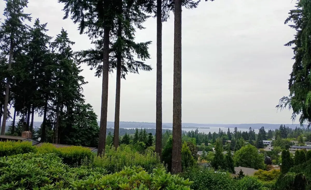 Aerial view of Clyde Hill, Washington, showing large detached homes on spacious, tree-lined lots